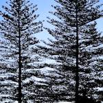 image: Image from the photoset ‘
sintra
’.