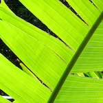 image: Image from the photoset ‘
sintra
’.