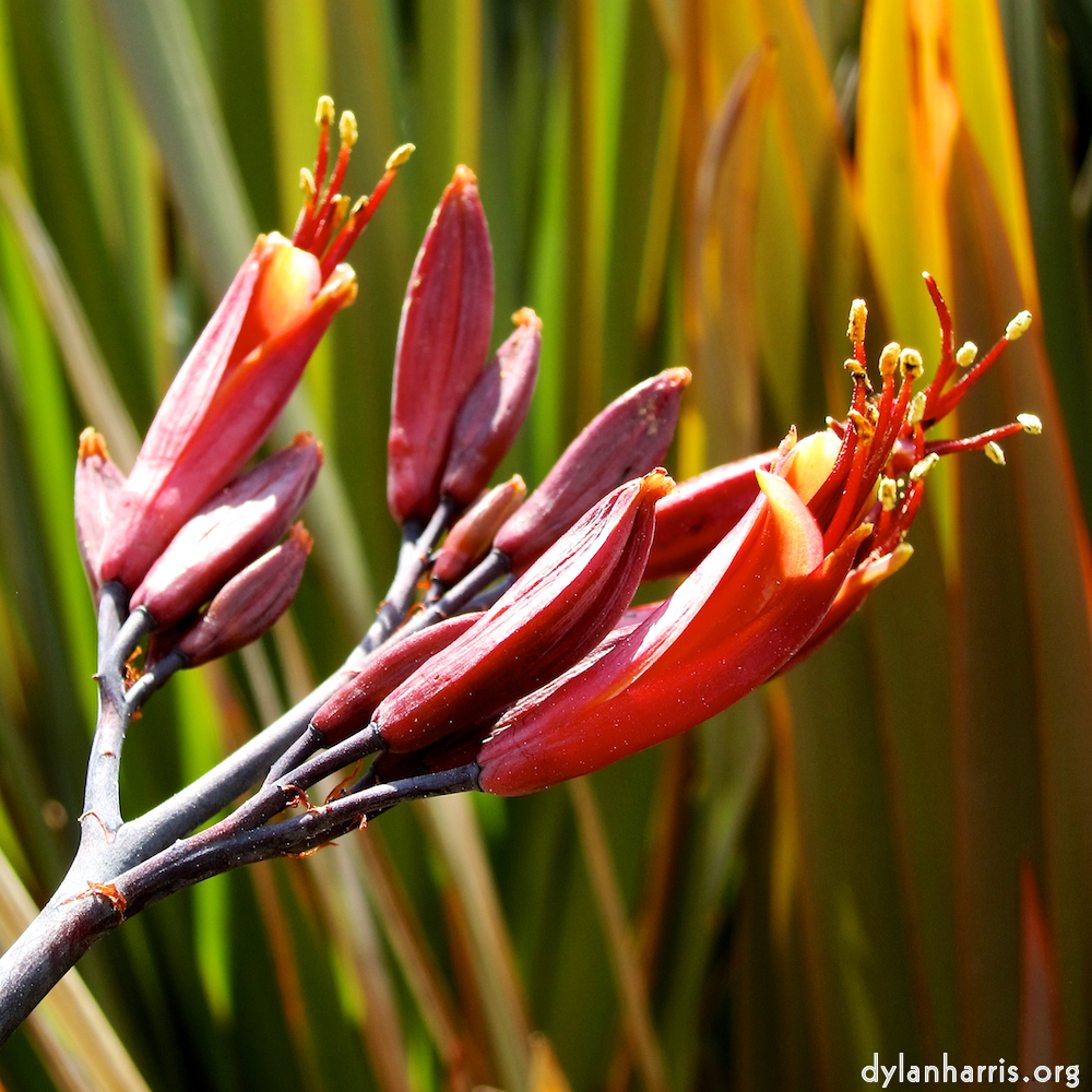 image: This is ‘
lisbon (vi) 6
’.