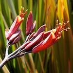 image: Image from the photoset ‘
lisbon (vi)
’.