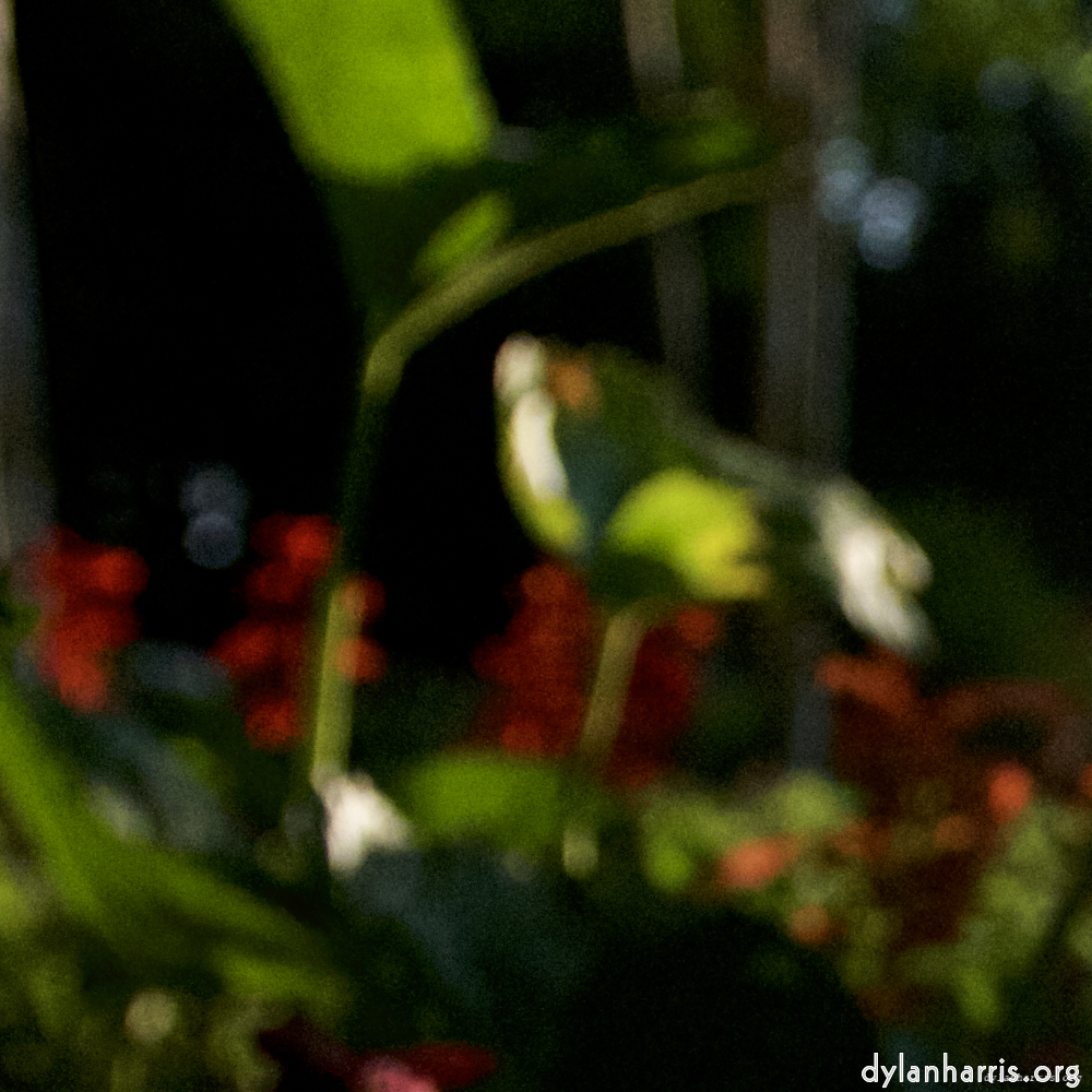 image: This is ‘
parc (xix) 2
’.