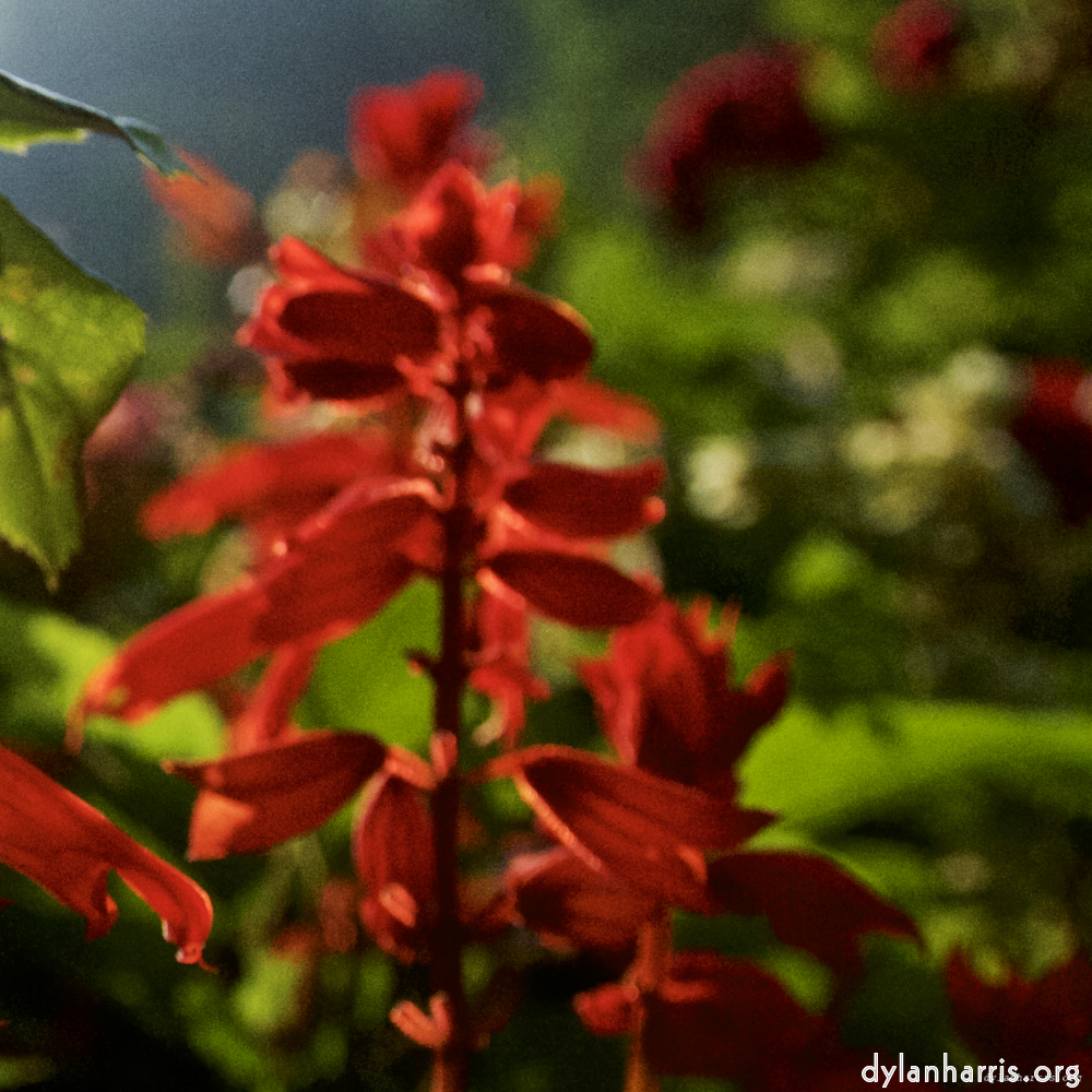 image: This is ‘
parc (xix) 3
’.