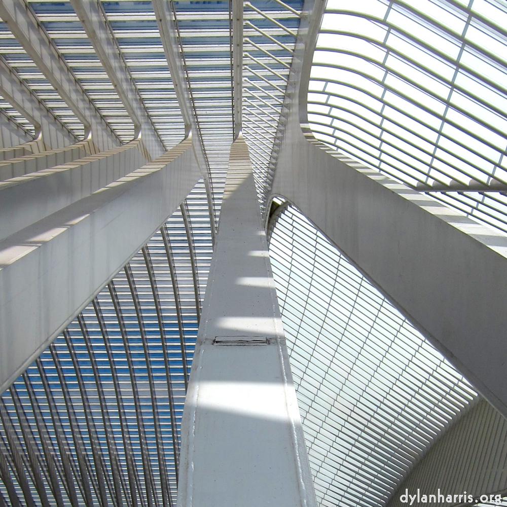 Image: Image 'liège 2'.