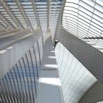 Image: Second image from the photoset 'liège'.