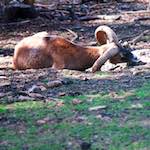 Image: Second image from the photoset 'esch–sur–alzette (xix)'.