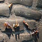 Image: Fifth image from the photoset 'autumn (i)'.