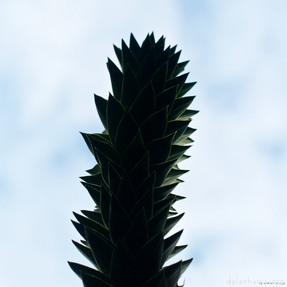 Image: Image 'parc (xiii) 6'.