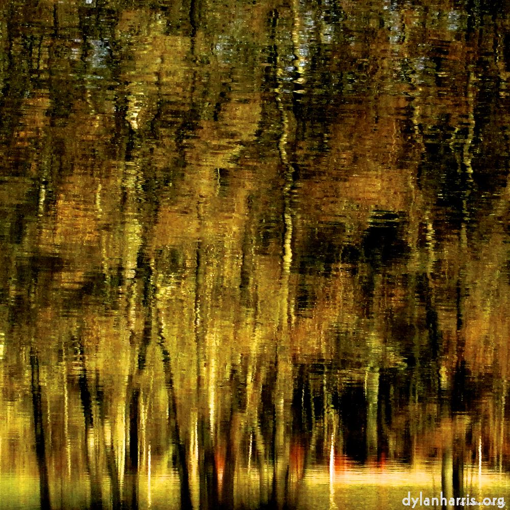 image: This is ‘
wood (xiv) 2
’.