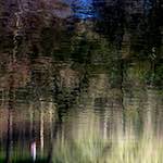 image: Image from the photoset ‘
wood (xiv)
’.