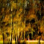 image: Image from the photoset ‘
wood (xiv)
’.