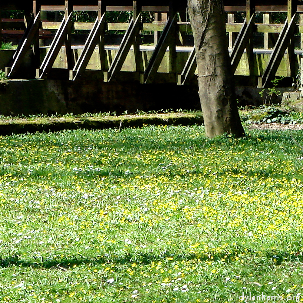 Image: Image 'grund (xiv) 3'.