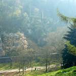 Image: First image from the photoset 'grund (xiv)'.