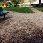 Second image from the photoset 'spring'.