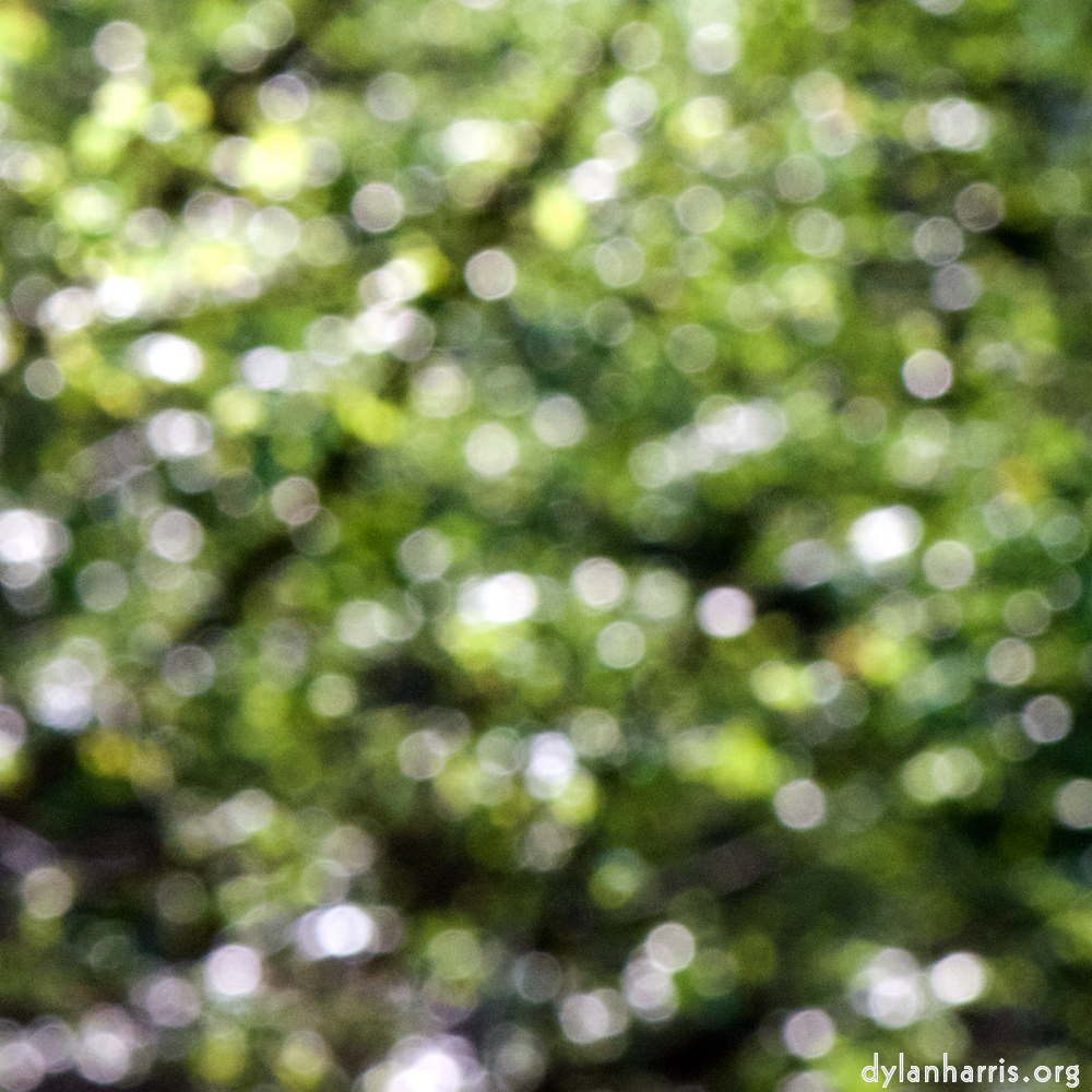 image: This is ‘
wood (xli) 1
’.