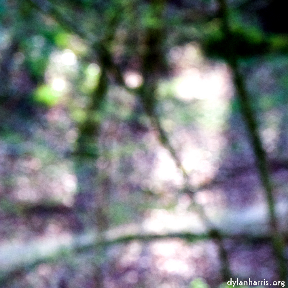 image: This is ‘
wood (xli) 2
’.