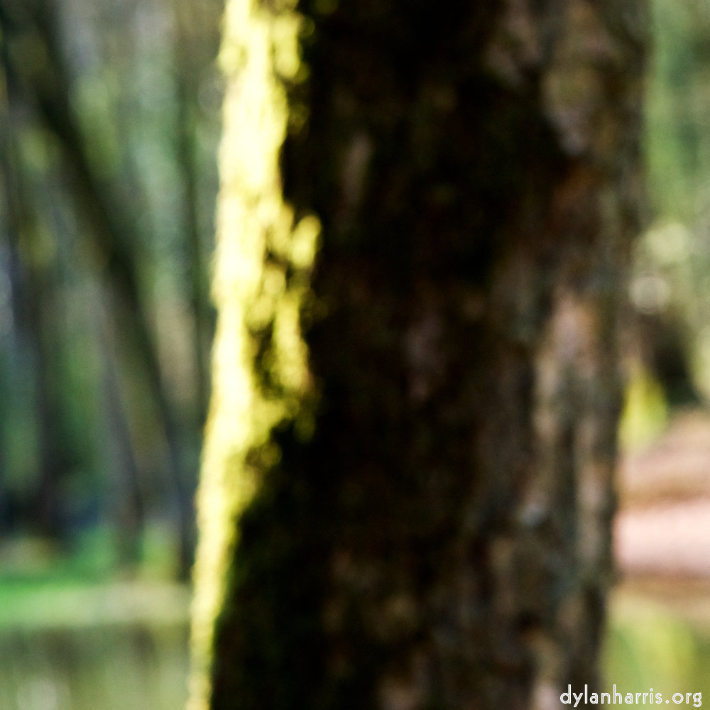 image: This is ‘
wood (xli) 3
’.