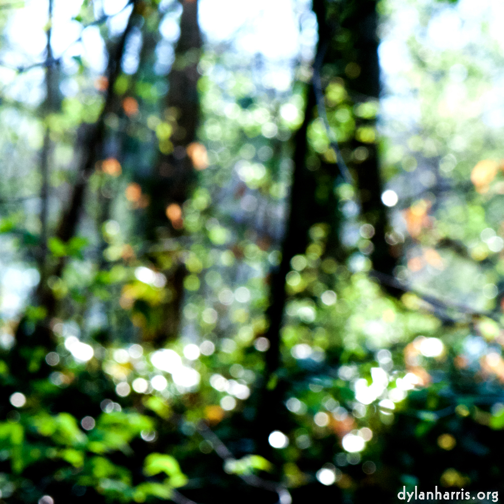 image: This is ‘
wood (xli) 4
’.