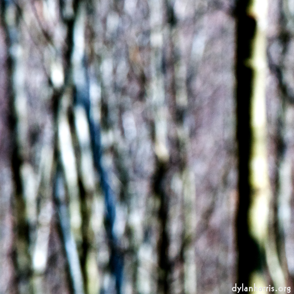 image: This is ‘
wood (xlii) 1
’.