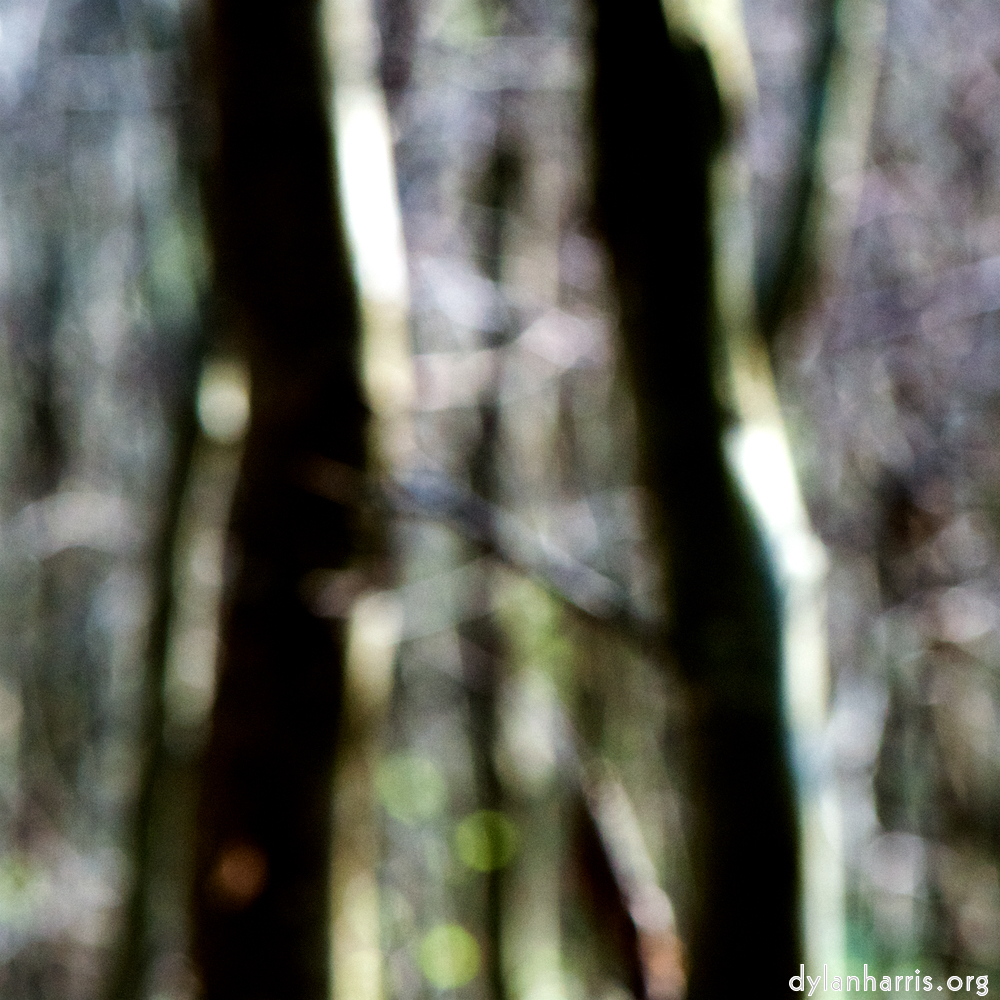 image: This is ‘
wood (xlii) 4
’.