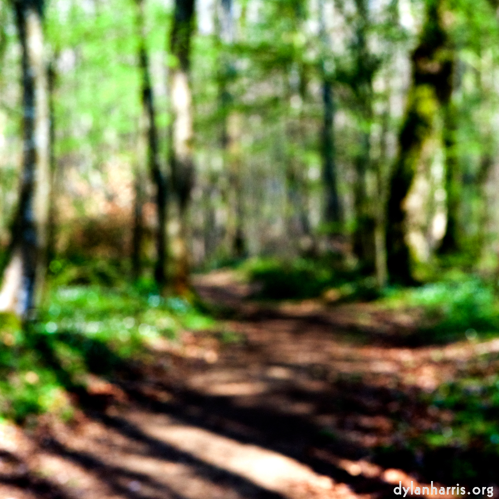 image: This is ‘
wood (xlii) 5
’.