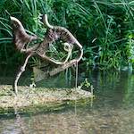 image: Image from the photoset ‘
bagnor
’.