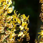 image: Image from the photoset ‘
bagnor
’.