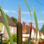 image: Image from the photoset ‘
bagnor
’.