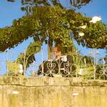 Image: Fifth image from the photoset 'parc (xxxii)'.