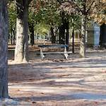 Image: Sixth image from the photoset 'parc (xxxii)'.