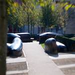 image: Image du photoset ‘parc (xli)’.