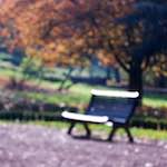 image: Image du photoset ‘parc (xli)’.