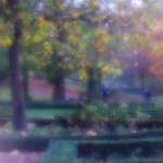 image: Image du photoset ‘parc (xlii)’.