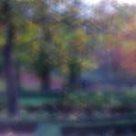 image: Image du photoset ‘parc (xlii)’.