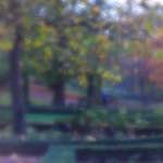 image: Image du photoset ‘parc (xlii)’.