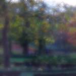 image: Image du photoset ‘parc (xlii)’.