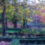 image: Image du photoset ‘parc (xlii)’.