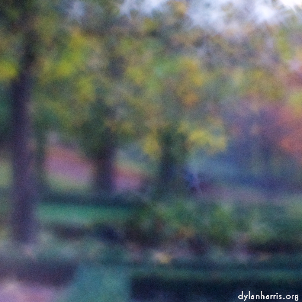 image: Voici ‘parc (xliii) 4’.