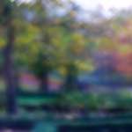 image: Image du photoset ‘parc (xliii)’.