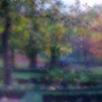 image: Image du photoset ‘parc (xliii)’.