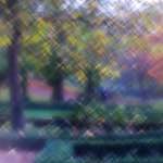 image: Image du photoset ‘parc (xliii)’.