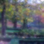 image: Image du photoset ‘parc (xliii)’.