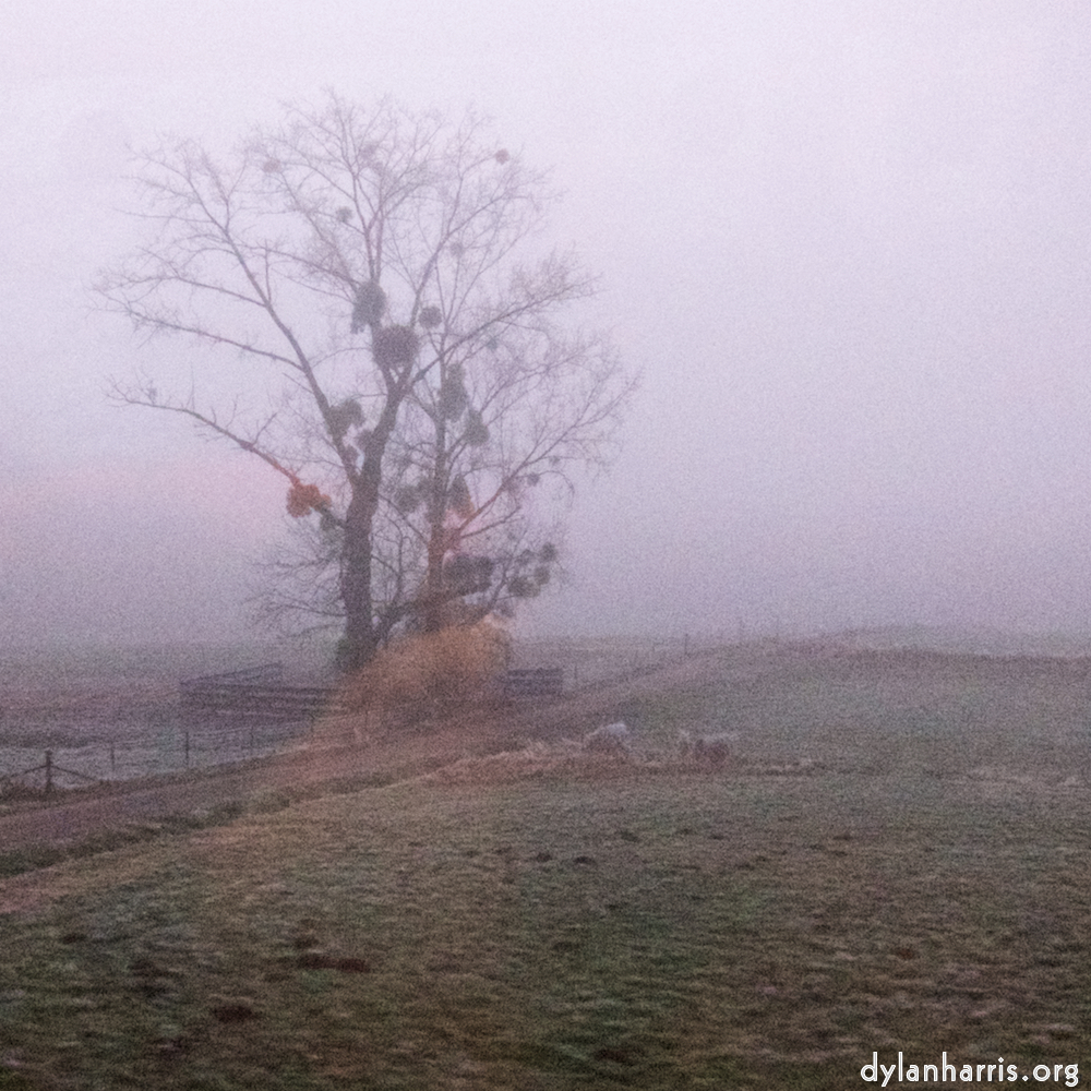 Image: Image 'way to work B (iv) 1'.