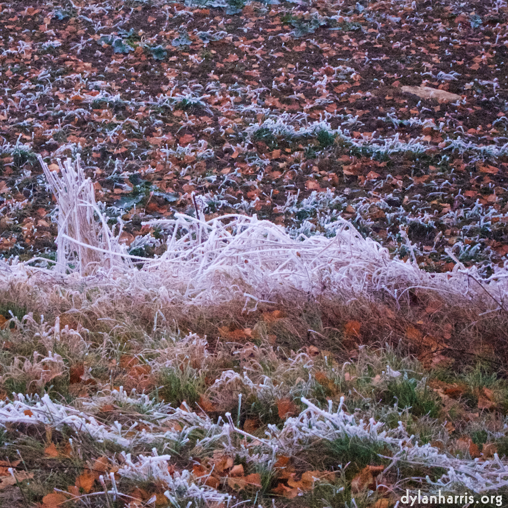 image: This is ‘
way to work B (iv) 4
’.