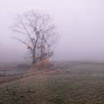 Image: First image from the photoset 'way to work B (iv)'.