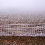 Image: Second image from the photoset 'way to work B (iv)'.