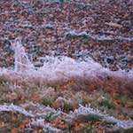 Image: Fourth image from the photoset 'way to work B (iv)'.