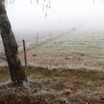 Image: Fifth image from the photoset 'way to work B (iv)'.