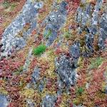 Image: First image from the photoset 'luxembourg (viii)'.