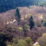 Image: Second image from the photoset 'luxembourg (viii)'.