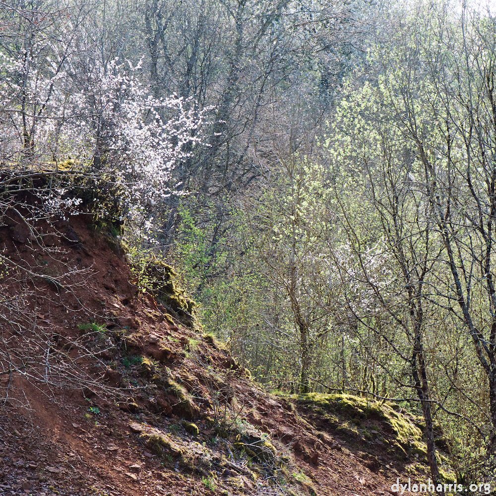 image: This is ‘
terres rouges (xv) 5
’.